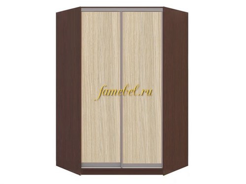 Шкаф-купе угловой Оскар 10, размер 1100/1100х2200х450