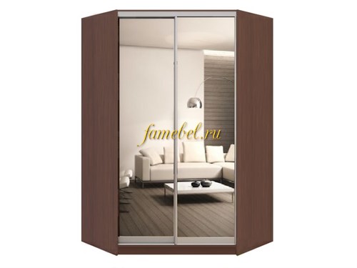 Шкаф купе угловой Оскар 17, размер 1100/1100х2200х450