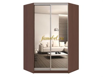 Шкаф купе угловой Оскар 17, размер 1100/1100х2200х450
