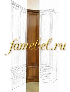 Цнинский 3 Модуль 21, шкаф 1 дверный угловой