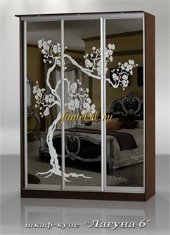 Шкаф купе Лагуна 6