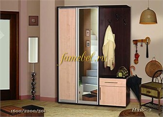 Прихожая купе Найс 2