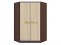 Шкаф-купе угловой Оскар 10, размер 1100/1100х2200х450