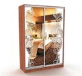 Шкаф купе Стиль 2(10)