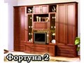 Стенка Фортуна 2 гостиная